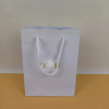 Hot Stamping Shopping Paper Bag