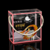 Foldable Transparent PET Box with Printing